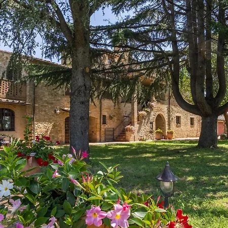 Assisi Simi